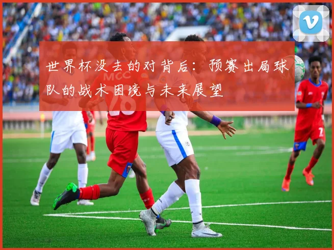 世界杯没去的对背后:预赛出局球队的战术困境与未来展望